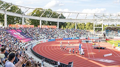 Des coureurs démarrent une course dans un stade d’athlétisme rempli par temps ensoleillé.